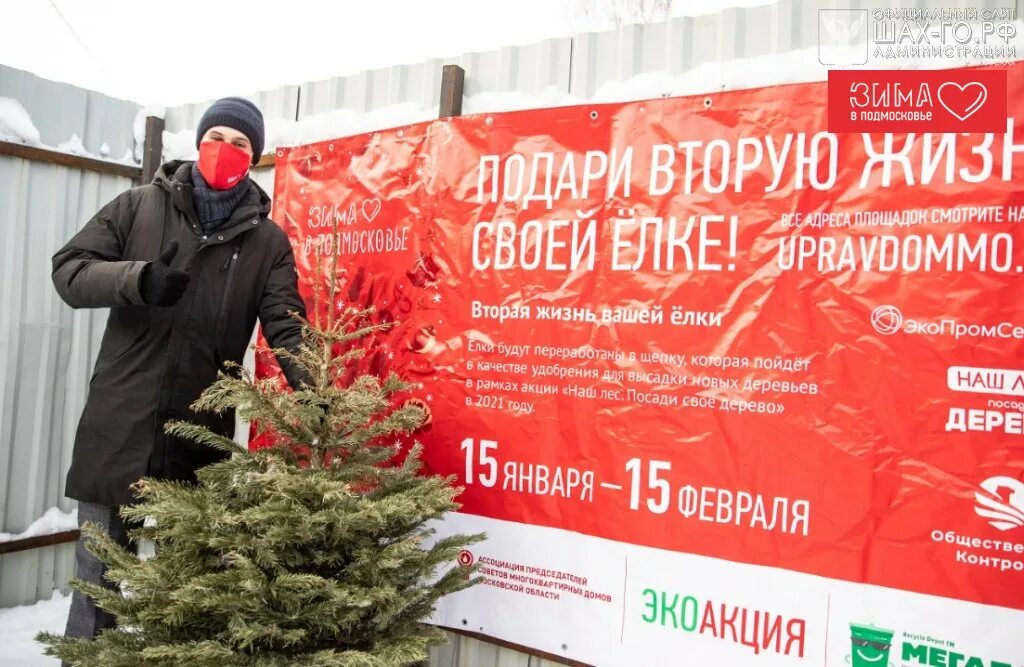 Акция подари елке вторую жизнь. Подари своей ёлке вторую жизнь в подмосковье 2023. Акция подари елке вторую жизнь. Акция подари елке вторую жизнь. Подари елке вторую жизнь.