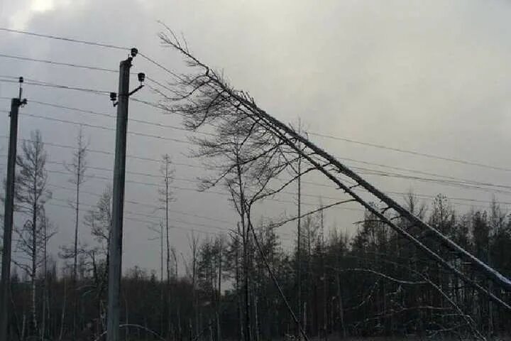 Зажимается с высоковольтным столбом - скачать картинки