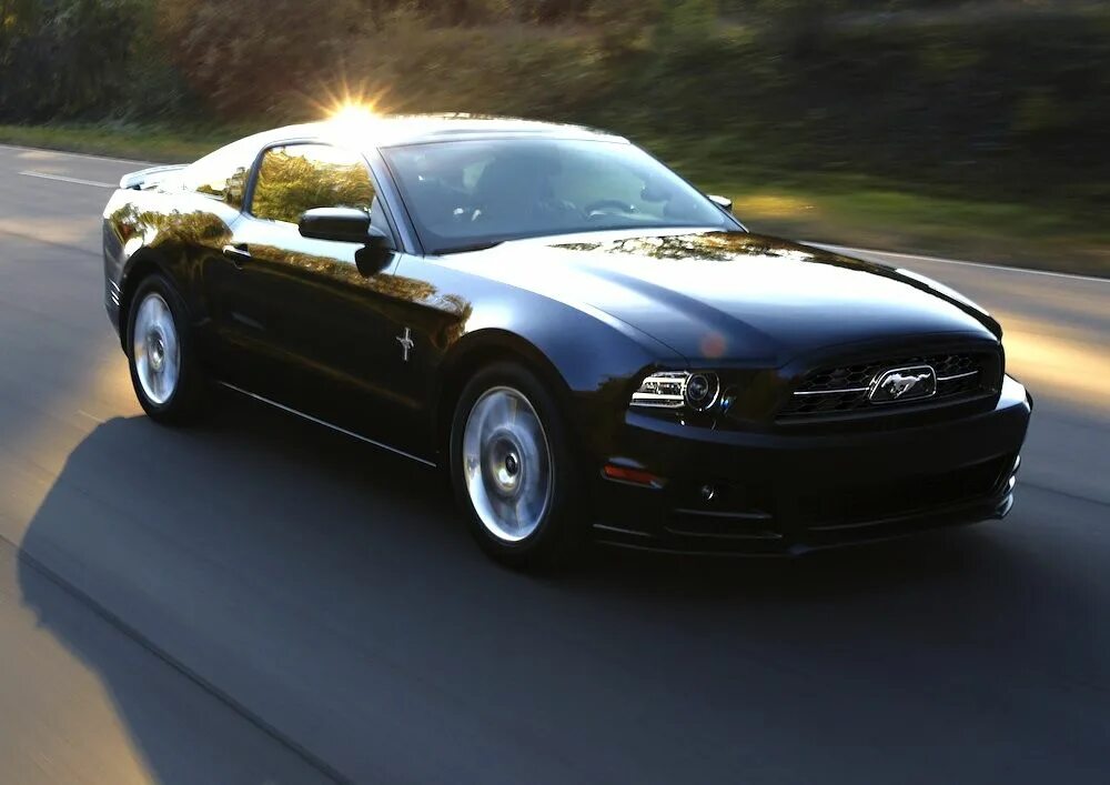 Форд мустанг gt 2010. Форд мустанг баку. Форд мустанг 2013. Ford mustang 2010. Ford mustang 1864.