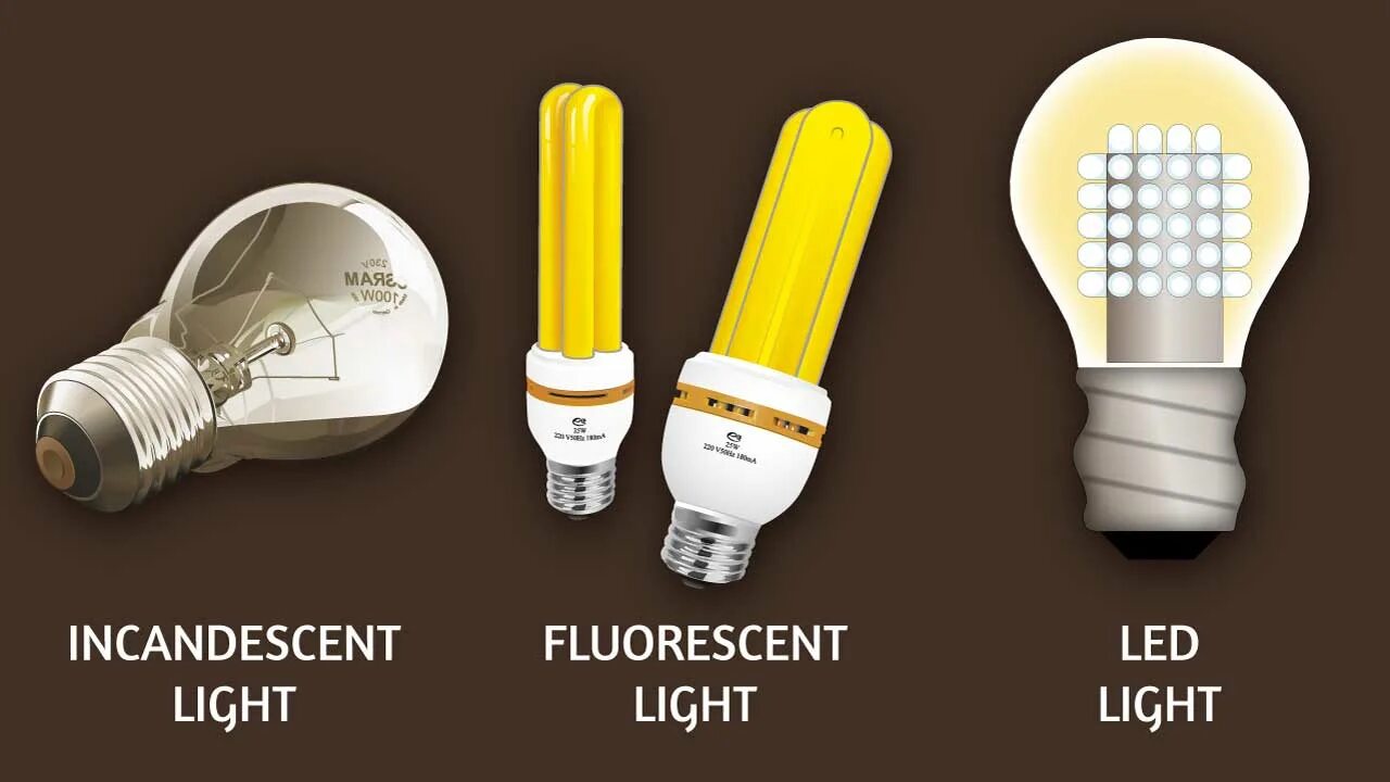 Lamp type. Types of bulbs. types of lights. bulb перевод. incandescent.