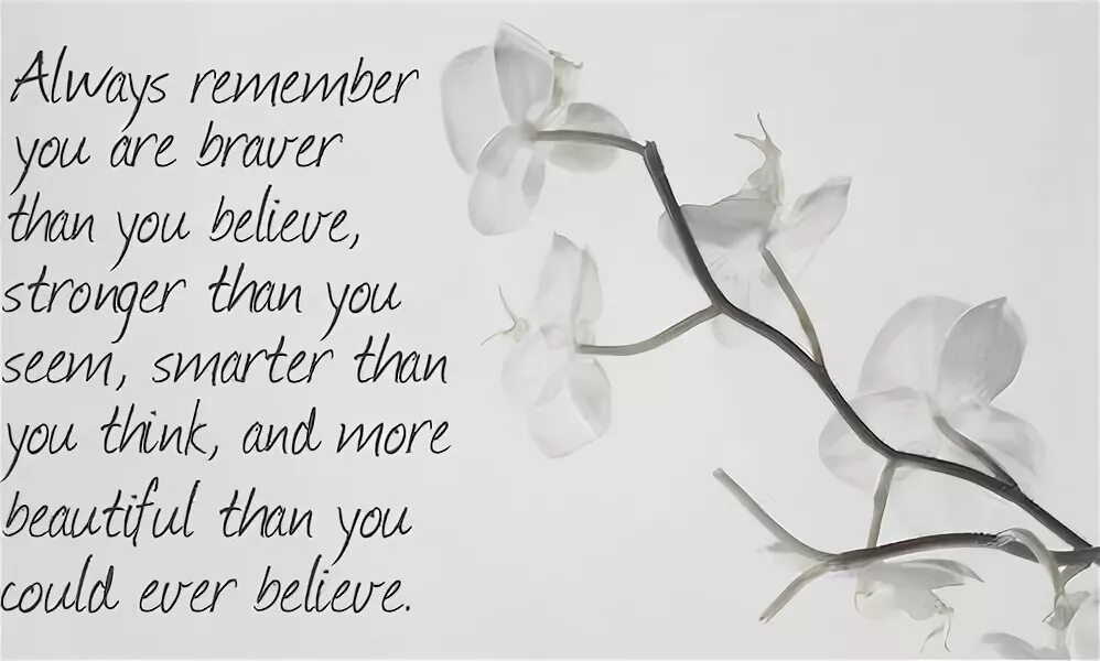 More than i remember you. You are more than beautiful. you are stronger than you think you are. you are more beautiful than me. олвейс remember.