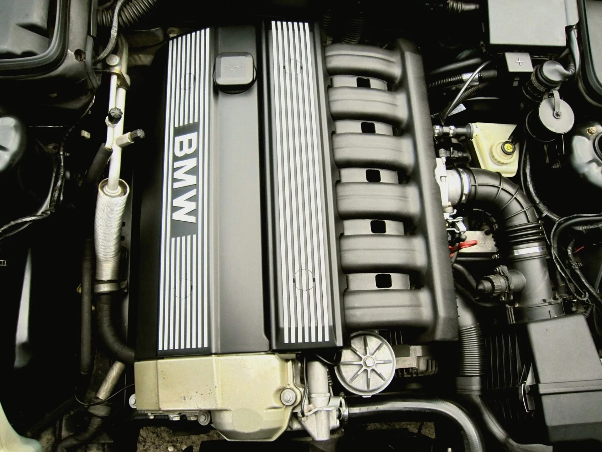 Бмв е 34 мотор. BMW e34 525i двигатель. BMW e34 2.5. Двигатель БМВ е34 2.0. Мотор на BMW e34 525.