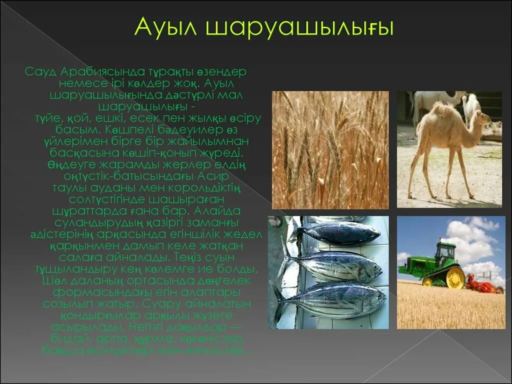 Саудовская аравия презентация. Сельское хозяйство Растениеводство Саудовской Аравии. Саудовская Аравия сельское хозяйство отрасли. Отрасли специализации сельского хозяйства Саудовской Аравии. Саудовская Аравия сельское хозяйство презентация.