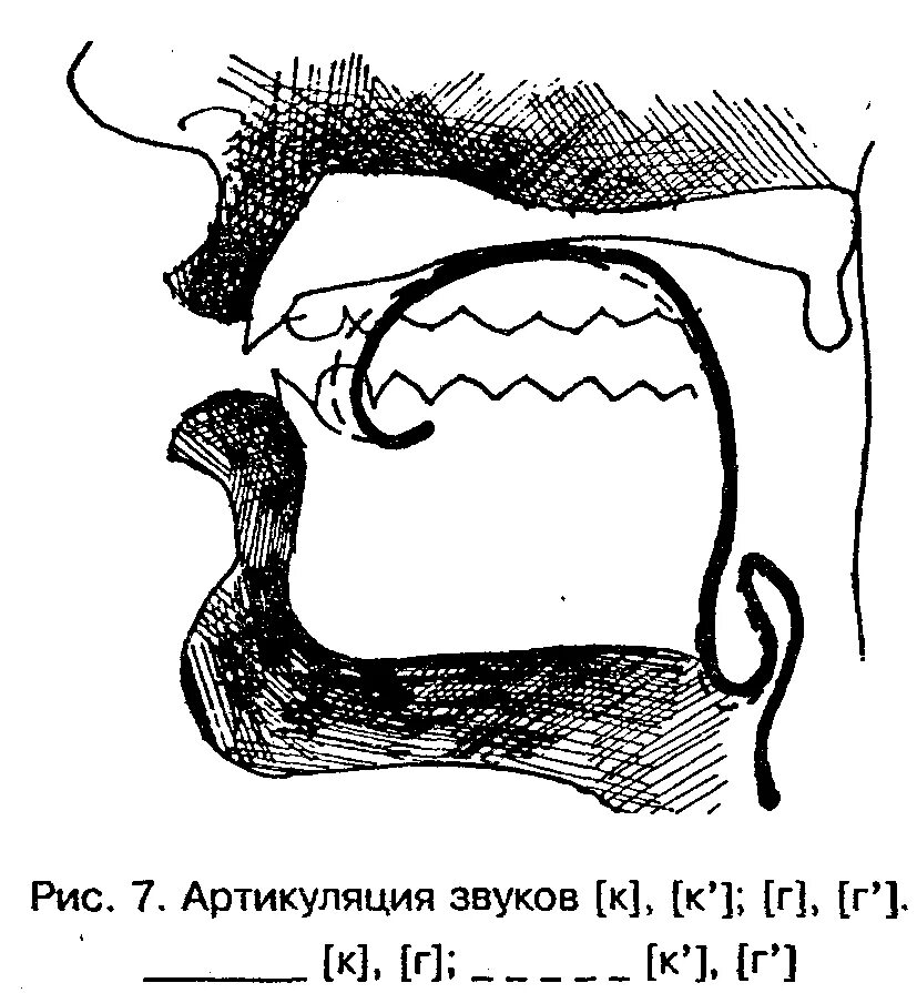 Артикуляция б. Артикуляция звука с. Постановка произношения звука в. Постановка языка при звуке с. Постановка звука с.