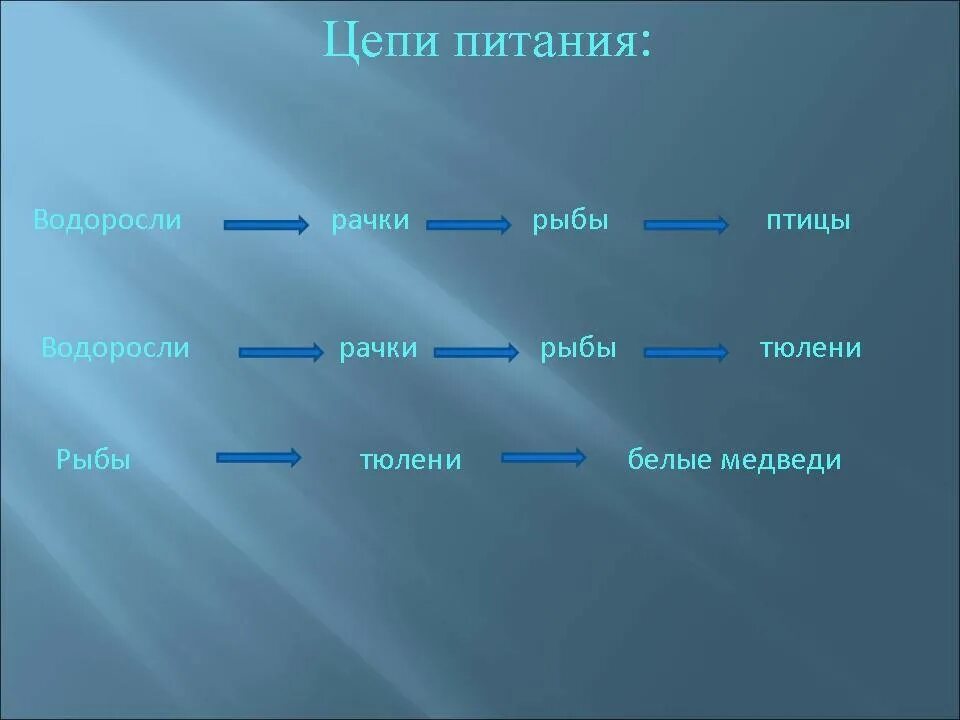 Схема цепи питания пустыни. Цепь питания в зоне пустынь. Схема цепи питания характерной для пустыни окружающий мир. Цепи питания арктических пустынь 4 класс. Схема цепи питания пустыни 4 класс окружающий мир.