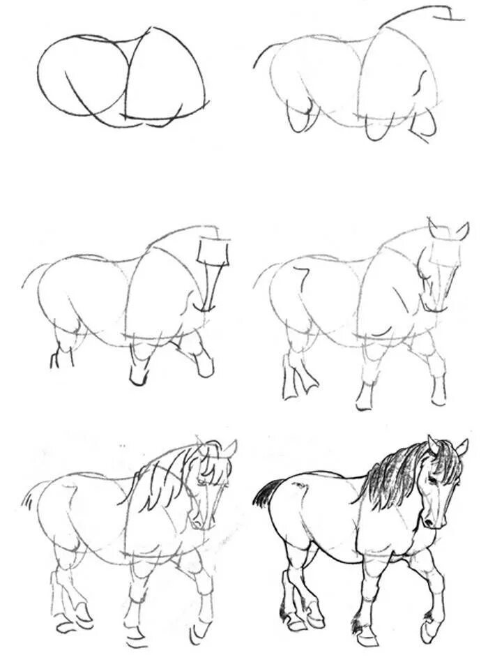 Рисуем лошадь поэтапно. Лошадь рисунок карандашом. Поэтапное рисование коня. Пошаговое рисование лошади. Поэтапный рисунок лошади.