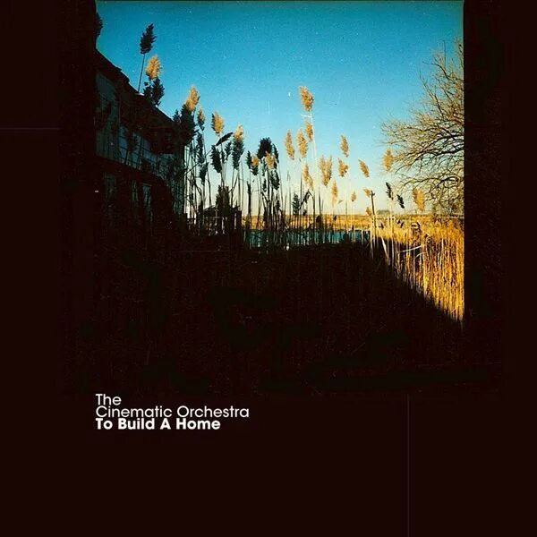 The cinematic orchestra to build a home