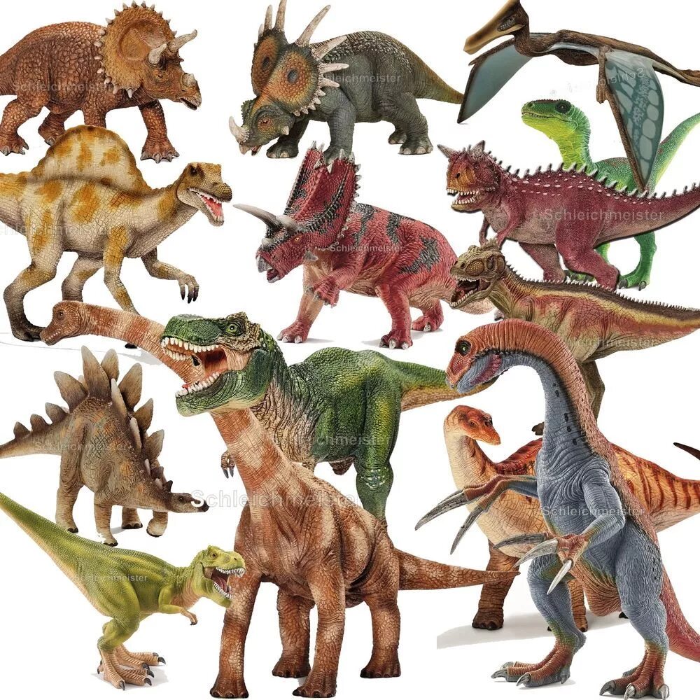 Динозавры. Виды динозавров. Травоядные динозавры. Хищные и травоядные динозавры.