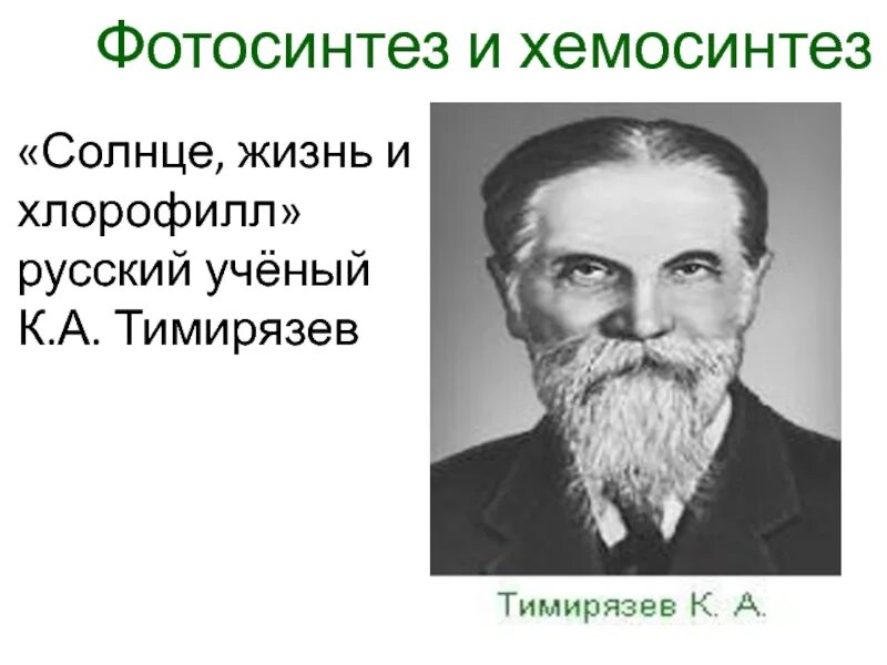 Впервые значение хлорофилла установил русский ученый. Ученый открывший хемосинтез. Тимирязев хлорофилл. Тимирязев фото.