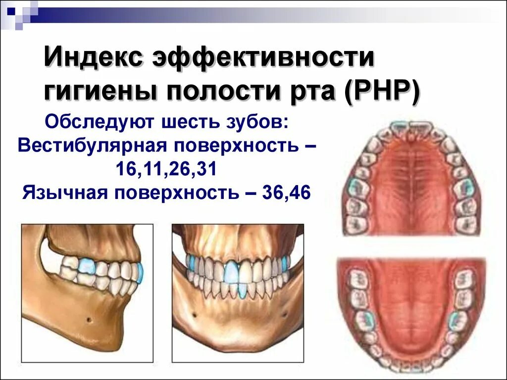 Гигиенический индекс полости рта. Эффективности гигиены полости рта РНР. Php индекс гигиены полости рта. Индекс гигиены полости рта РНР. Индексная оценка гигиены полости рта.