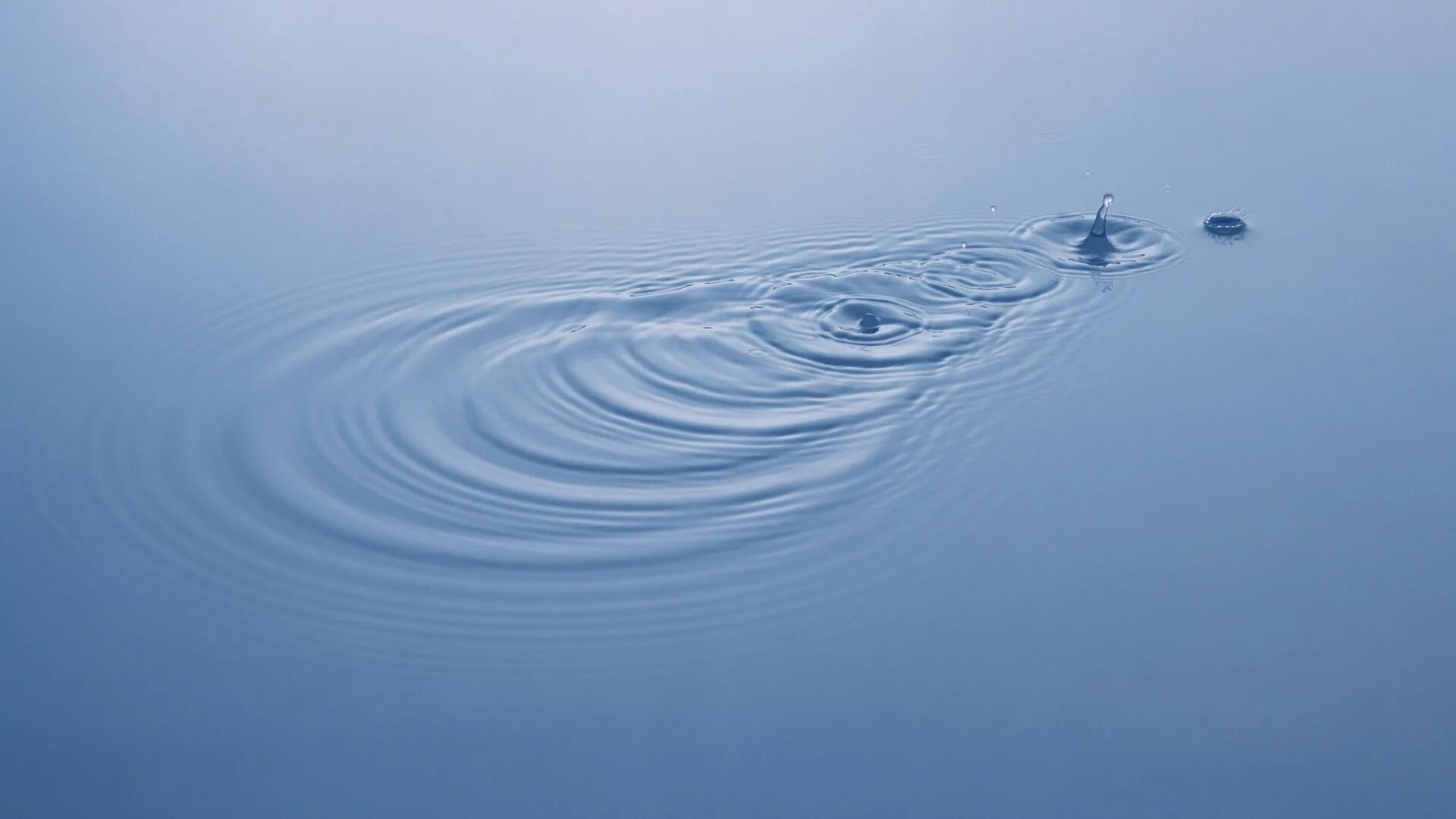 Гладь воды. Круги на воде. Капли воды. Водная поверхность.