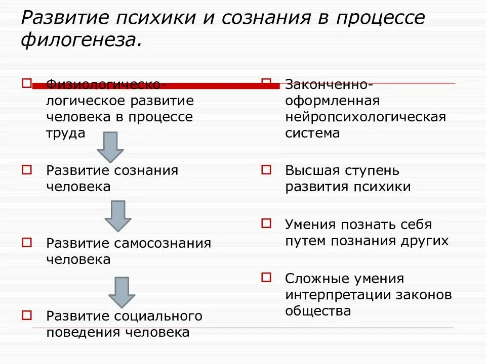 Леонтьев уровни развития психики. Развитие психики и сознания. Этапы развития психики в филогенезе. Уровни развития психики в филогенезе. Стадии развития психики человека в филогенезе.