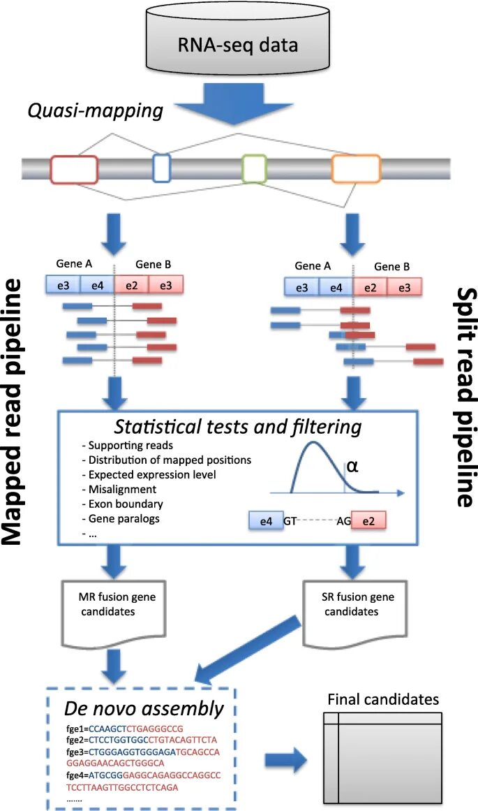 Карта языка java. Input node for water distribution. Google mapreduce. Rna seq. Treemap java.