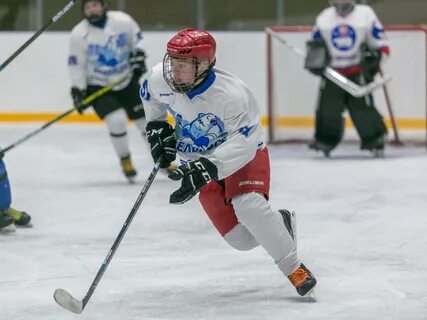 Первенство хоккей 2009