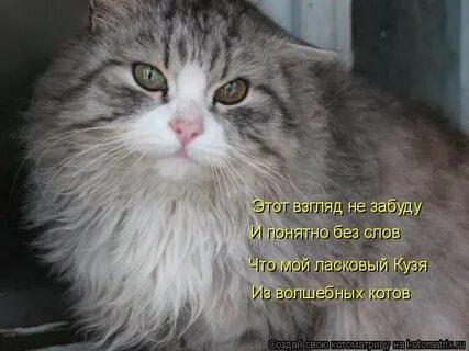 День когда все понятно