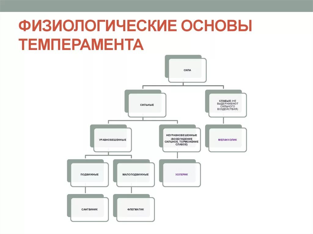 Что является физиологической основой темперамента. Физиологические основы темперама. физиологические основы темперамента в психологии.