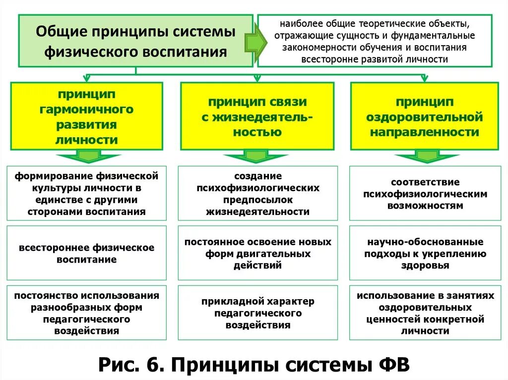 Физическое воспитание основные методы. Основные принципы физического воспитания. Принципы системы физического воспитания. Социально-педагогические принципы системы физического воспитания. Общая характеристика основных принципов физического воспитания.