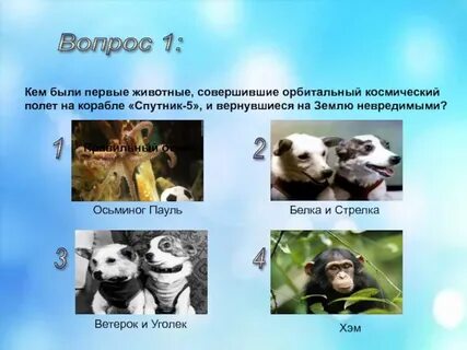 Какое животное совершил первый орбитальный космический полет