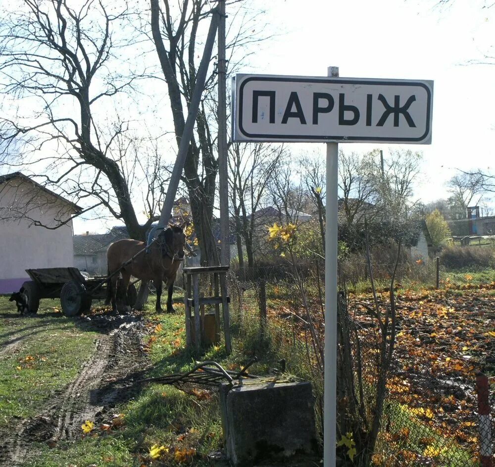 Прикольное название фото