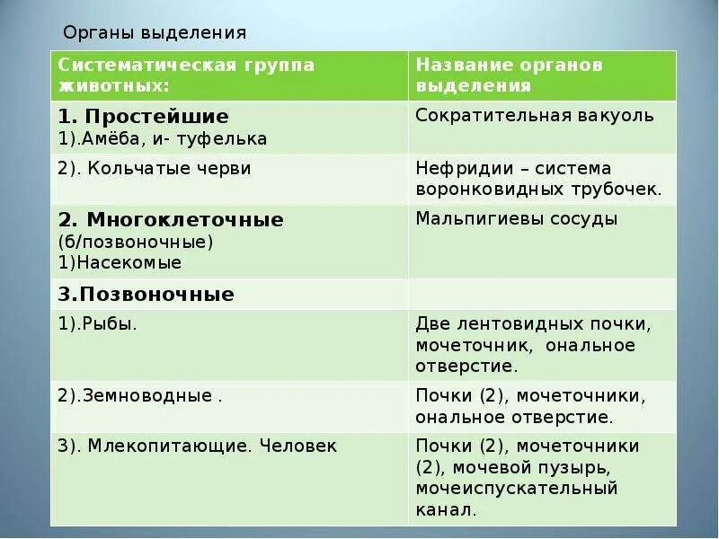 Выделение биология 6 класс кратко. Выделительная система таблица 7 класс биология. Продукты выделительной системы таблица. Выделение у растений 6 класс биология таблица. Система органов выделения животных.