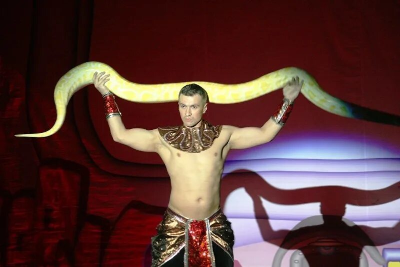 Шоу с питоном. Цирковые змеи. Змеи в цирке. Укротитель змей.