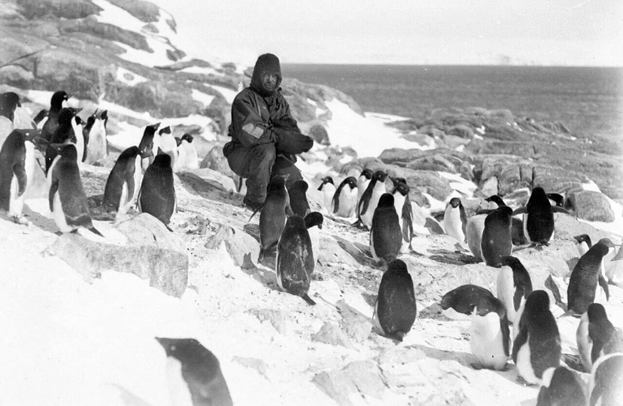 Все что видела она во время экспедиции. Экспедиции в Антарктиду 1911-1912. Экспедиция полярники в Антарктиде. 23 Января 1895 года впервые в мире человек ступил на берег Антарктиды. Первая антарктическая Экспедиция.