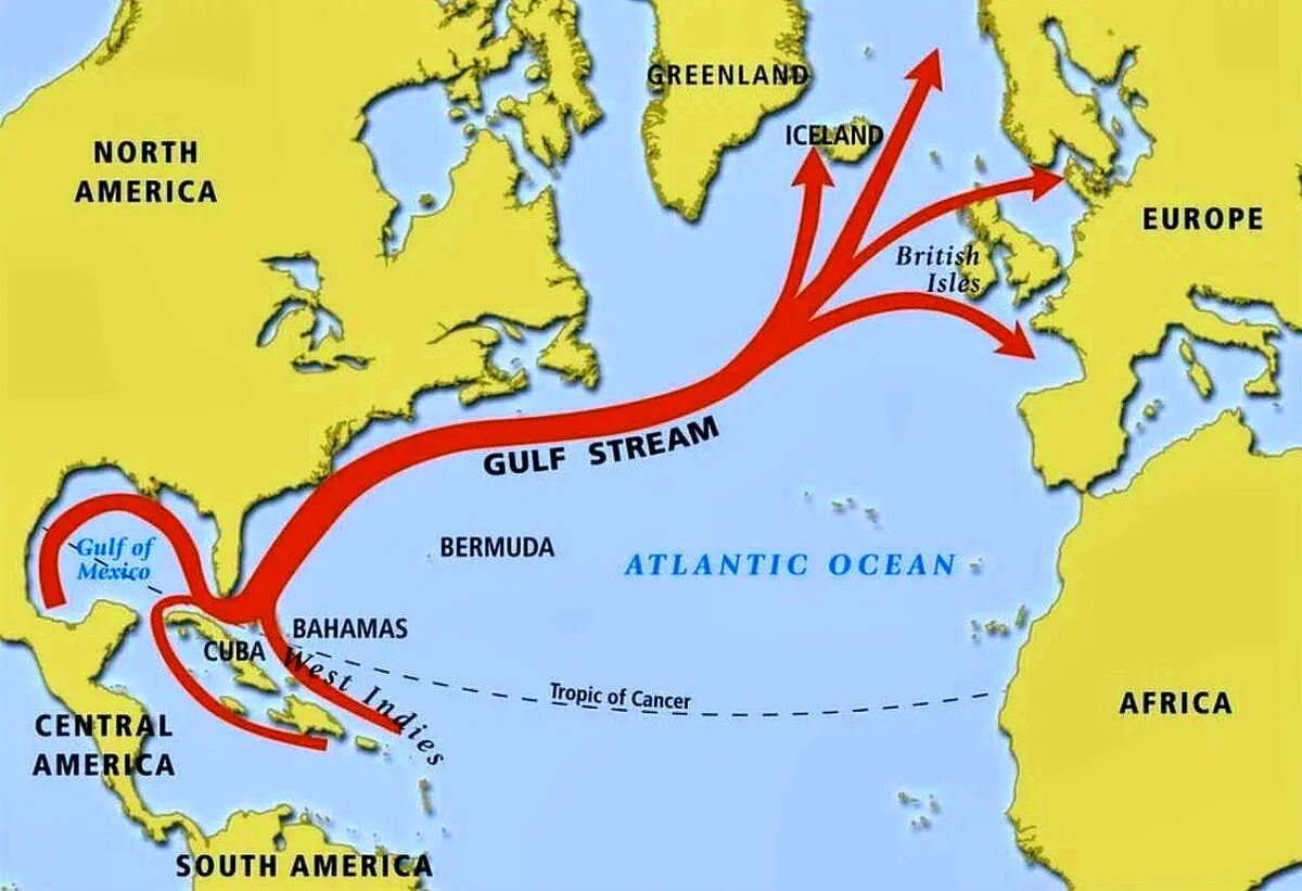 Теплое течение европы. Гольфстрим течения Атлантического океана. Течение Гольфстрим на карте Атлантического океана. Флоридское течение на карте Атлантического океана. Схема течения Гольфстрим.