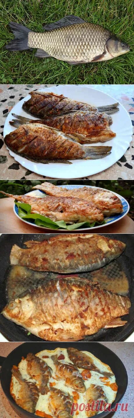 Жареный карась. Жареный карась в муке. Жареные караси фото. Рецепт жареных карасей с фото. Жареный карась на сковороде.