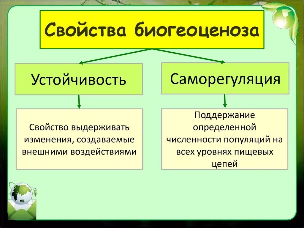 Основные свойства биогеоценоза. Устойчивость и саморегуляция биогеоценозов. Характеристика устойчивости биогеоценозов. Свойства экосистем устойчивость. Причины смены биоценоза