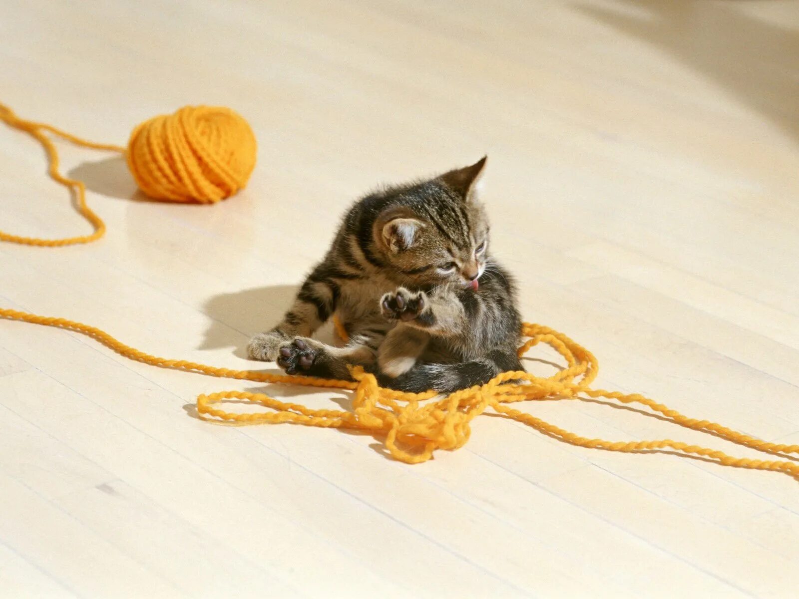 Котята играют на полу. Котёнок и клубок. Кот с клубком. Кошка с клубком ниток. Котенок играется с клубком.