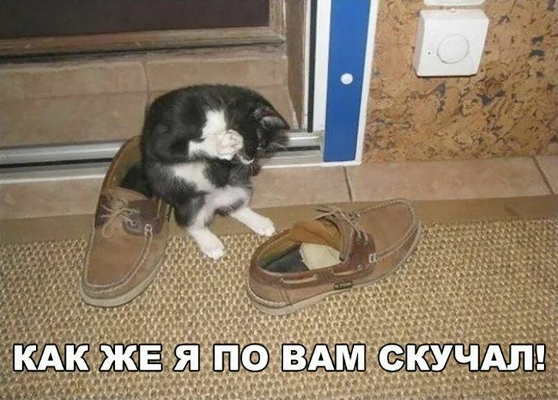 Можно без шуток