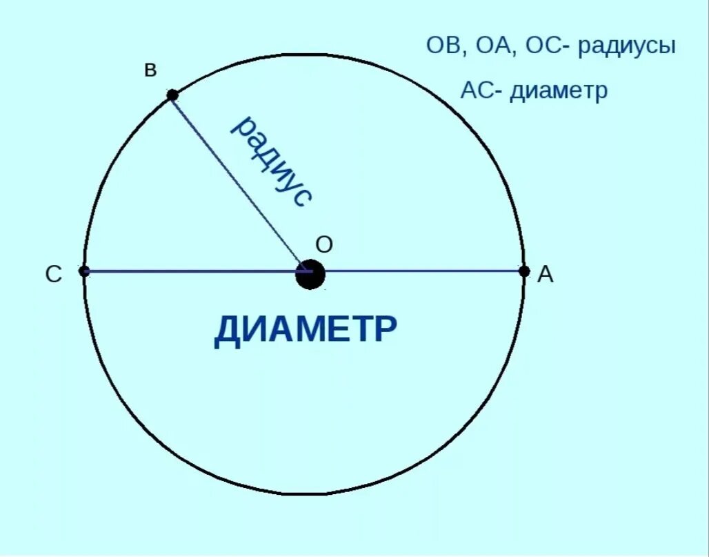 Сколько сантиметров круг. Радиус и диаметр круга. Окружность круг радиус диаметр. Что такое радиус и диаметр окружности 5 класс. Картинки окружности с радиусом и диаметром.