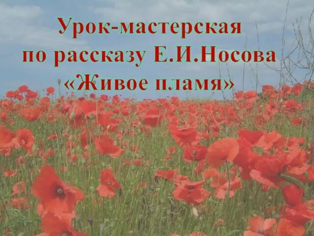 Память в рассказе живое пламя. Е.Носова "живое пламя". Носов живое пламя 7 класс. Живое пламя. Рассказ Носова живое пламя.