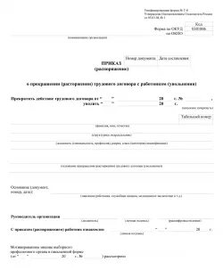 Приказ о прекращении производства