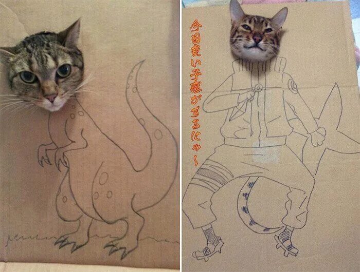 Как нарисовать кота нэпа