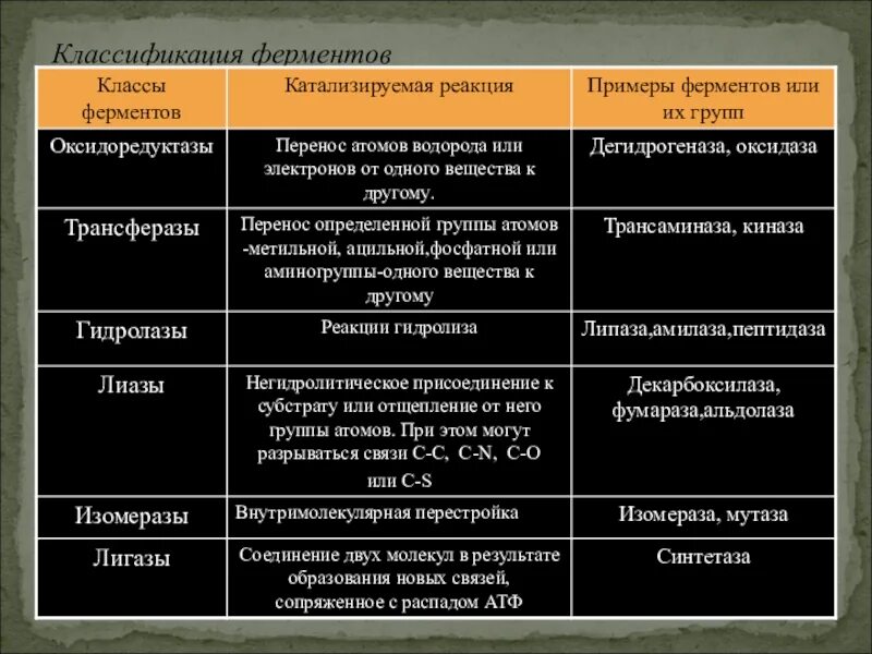 Ферменты реакции примеры. Ферменты класса оксидоредуктаз. Классификация ферментов реакции. Таблица классов ферментов. Какие реакции катализируют ферменты класса оксидоредуктаз.