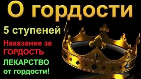 Гордость видео
