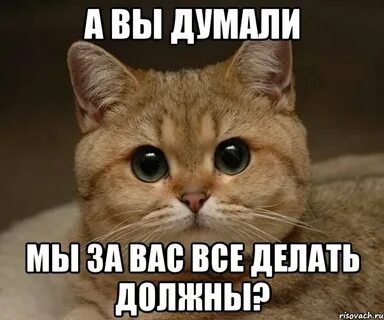Я понимаю что ты шутишь