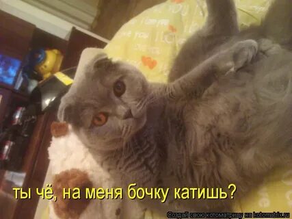 Катя бочку