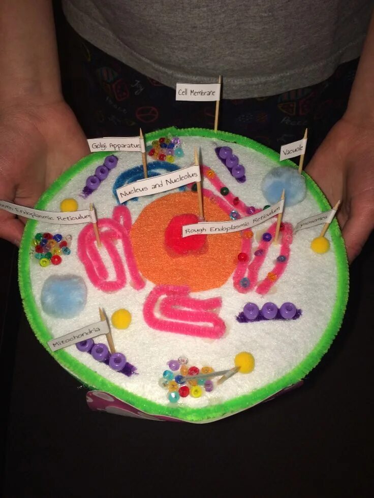 Cell project