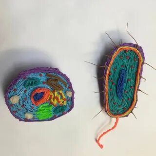 Сделать рисунки клеток