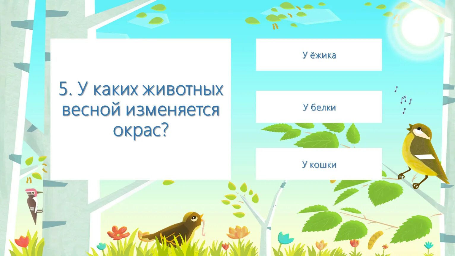 У каких животных меняется окраска. Чем заняты птицы весной. чем занимаются птицы. какие птицы прилетают позже. у каких животных меняется окраска весной.
