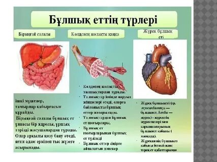 Қызыл шашты аңдардың секс видеосы