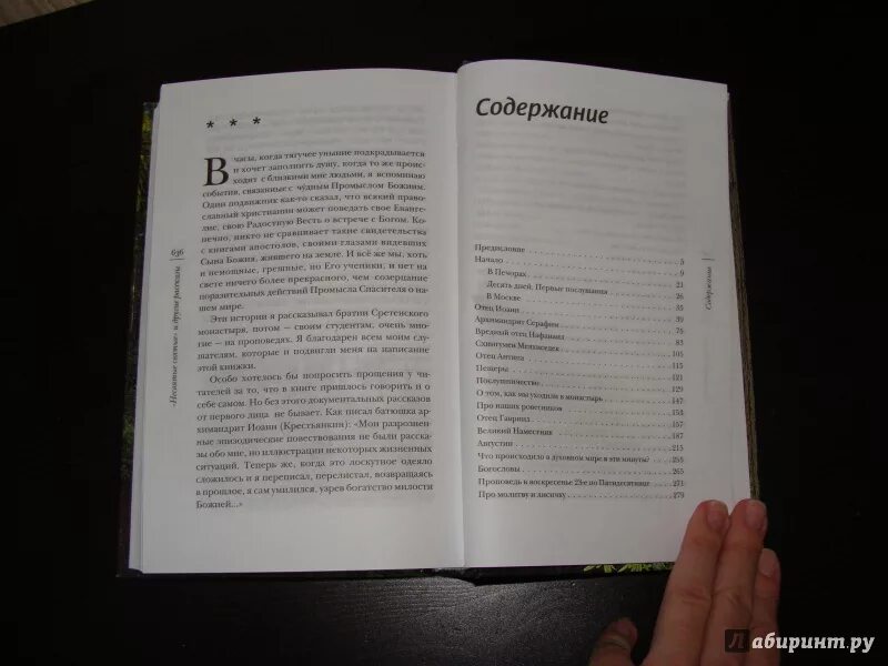 Книги святых содержание. Книги святых содержание. Несвятые святые и другие рассказы оглавление. Книги святых содержание. Сколько страниц.