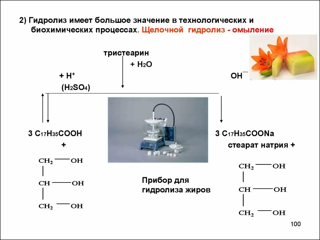 Растение гидролиз. Схема типы гидролиза. Общая характеристика процесса гидролиза. Биологическое значение гидролиза. Гидролиз химический процесс.