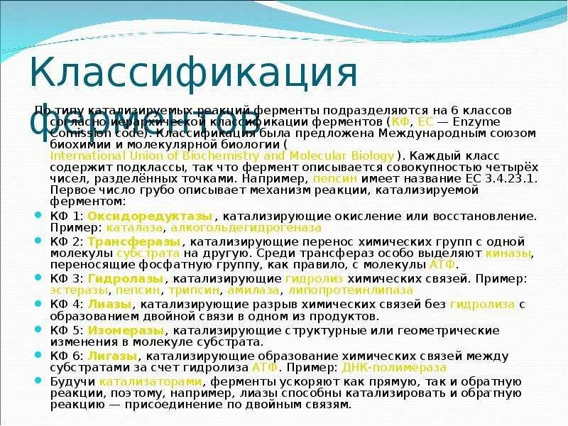 6 классов ферментов. Классификация ферментов биохимия. Структурная классификация ферментов. Классификация ферментов биохимия таблица. Классификация ферментов по типу реакции.