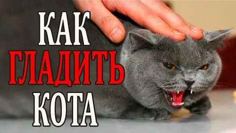 Задабривать