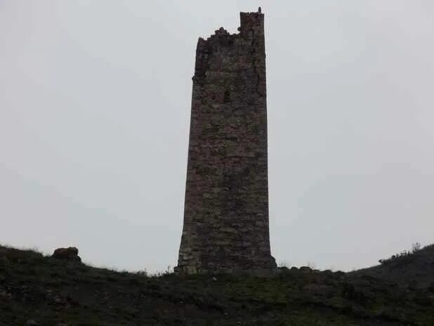 Родовые башни