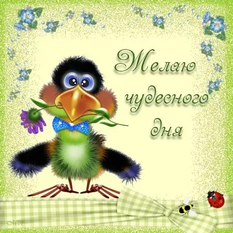 Привет м р