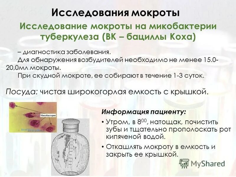 Исследование мокроты на микобактерии туберкулеза. Исследования макроты на микобактерии туберкулёза. Микобактерии туберкулеза в мокроте. Для исследования мокроты на микобактерии туберкулеза ее собирают.